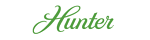 Hunter Fan Company brand image
